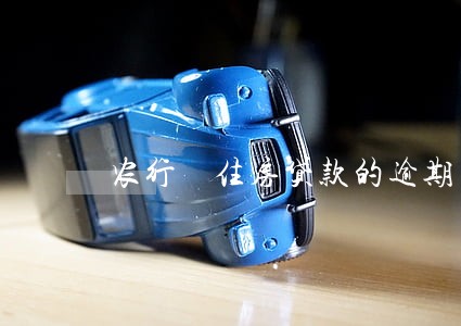 农行 住房贷款的逾期 农行 住房贷款的逾期
